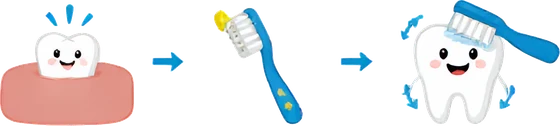Child-sized soft toothbrush used once the first tooth appears