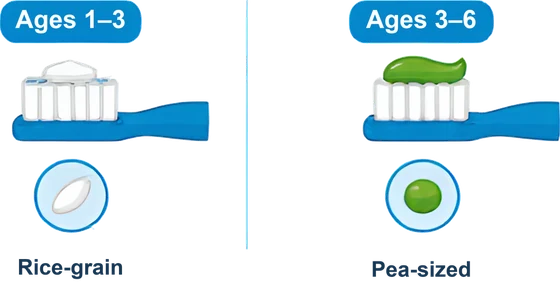 Toothpaste amounts for young children: a rice-grain smear, then a pea-sized amount