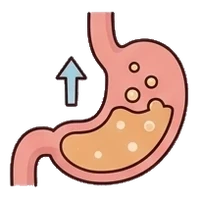 Acid reflux from the stomach