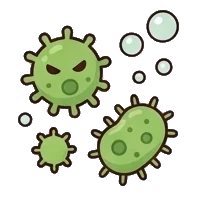 Oral bacteria