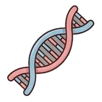 Genetic cause
